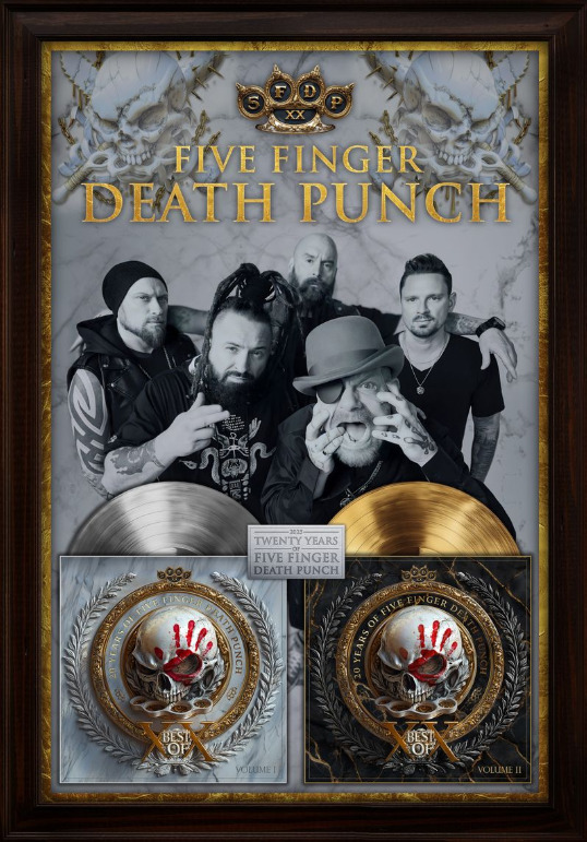 20th anniversary picture framed